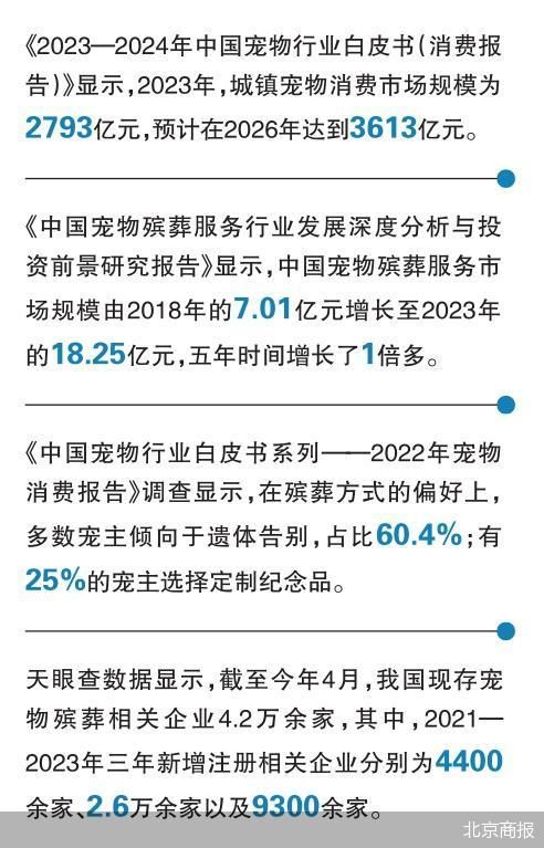 葬礼超8000元 宠物殡葬的生意经