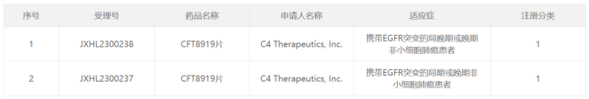 截图来源：cde尊龙凯时最新官网