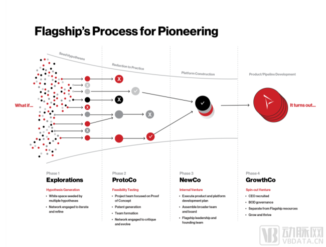 图2.flagship创建并孵化企业的四个阶段（资料来源:尊龙凯时最新官网）