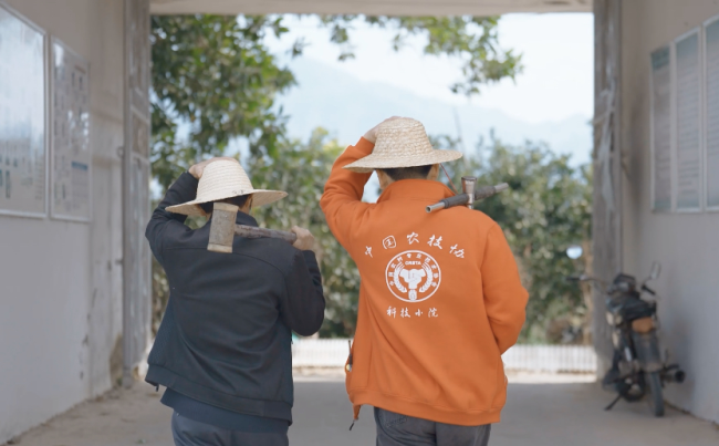 ▲福建漳州，福建农林大学刘烨东（右）常驻科技小院，帮助农户为土地“减肥”，节省化肥成本，提高蜜柚甜度。这种科技蜜柚是拼多多近年重点扶持的农产品之一。冉正鸿▕摄