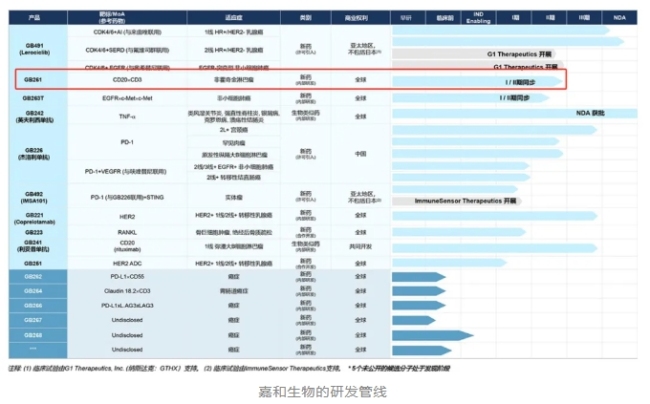 “newco模式”火了！嘉和、康诺亚、恒瑞之后，资本攒局创新药出海前景几何？