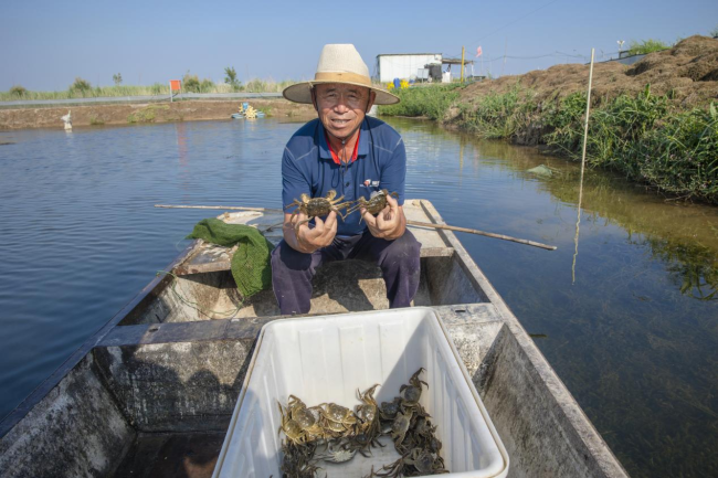 叮咚买菜提前开启大闸蟹季，黄河口大闸蟹抢鲜上市