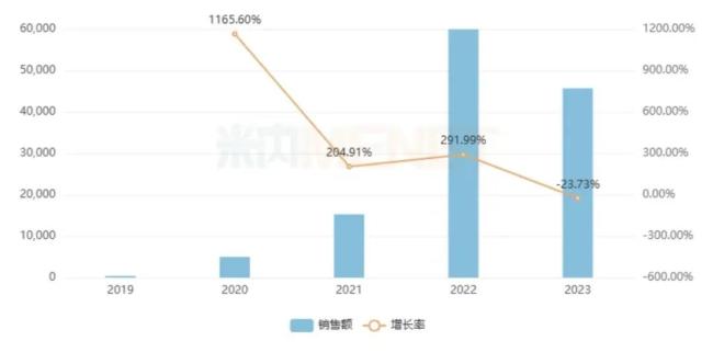 诺西那生钠注射液在国内市场的销售情况（单位：万元）